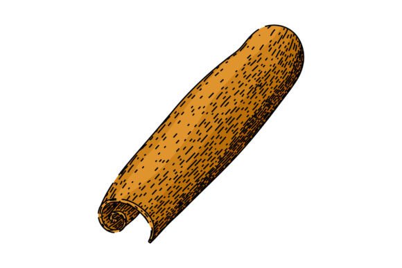 Download Aromatic Cinnamon Sketch Hand Drawn Vect - Drawn Collection