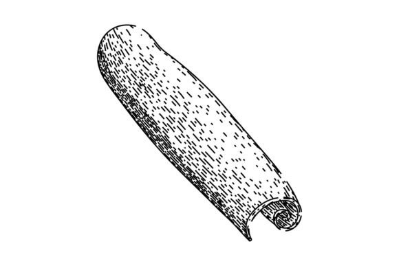 Download Aromatic Cinnamon Sketch Hand Drawn Vect - Drawn Collection